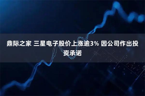 鼎际之家 三星电子股价上涨逾3% 因公司作出投资承诺