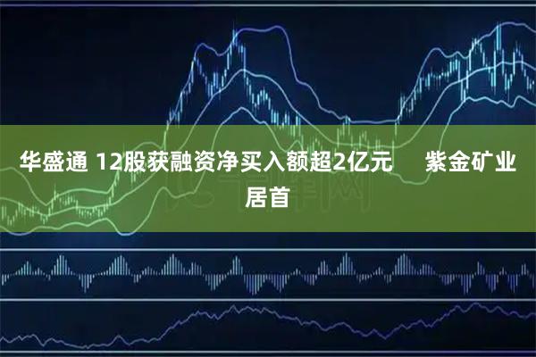 华盛通 12股获融资净买入额超2亿元     紫金矿业居首