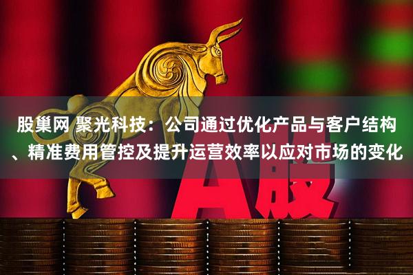 股巢网 聚光科技：公司通过优化产品与客户结构、精准费用管控及提升运营效率以应对市场的变化