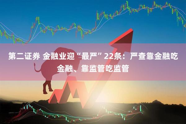 第二证券 金融业迎“最严”22条：严查靠金融吃金融、靠监管吃监管